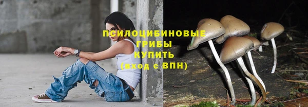 ALPHA-PVP Белокуриха