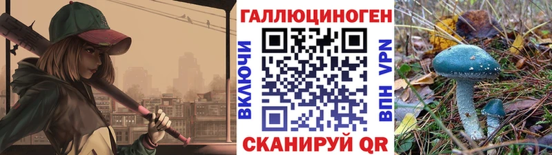 Галлюциногенные грибы мицелий  KRAKEN сайт  Нестеров  это официальный сайт  как найти закладки 