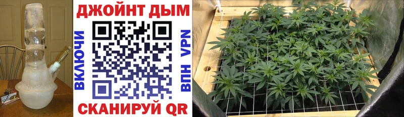 Каннабис OG Kush  купить наркотики сайты  Нестеров 